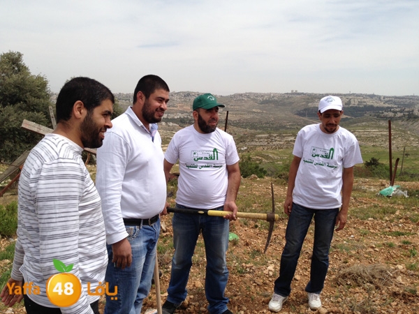 ludandyaffazaitoon (46).JPG